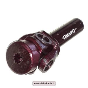 مادگی 10 خار